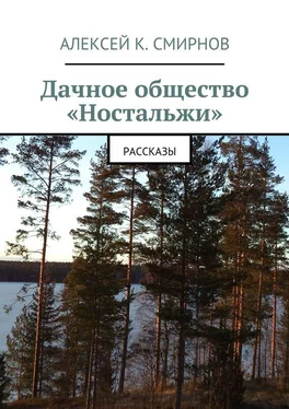 Алексей Смирнов Дачное общество «Ностальжи». Рассказы обложка книги