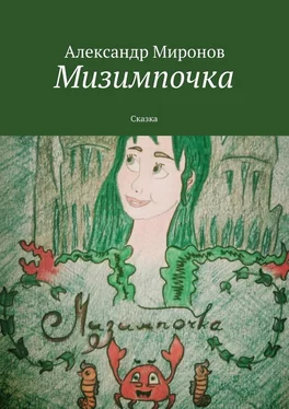 Александр Миронов Мизимпочка. Сказка обложка книги