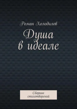 Роман Холодилов Душа в идеале. Сборник стихотворений обложка книги