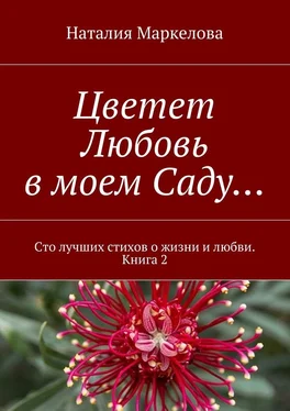 Наталия Маркелова Цветет Любовь в моем Саду… Сто лучших стихов о жизни и любви. Книга 2 обложка книги