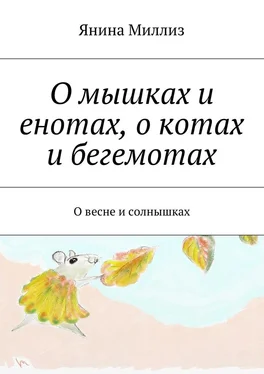 Янина Миллиз О мышках и енотах, о котах и бегемотах. О весне и солнышках обложка книги