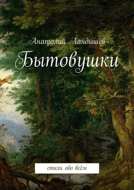 Анатолий Ландышев Бытовушки. Стихи обо всём обложка книги