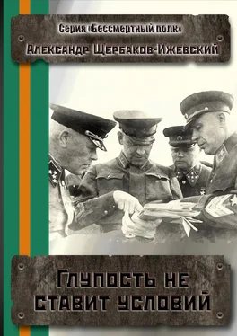 Александр Щербаков-Ижевский Глупость не ставит условий. Серия «Бессмертный полк» обложка книги