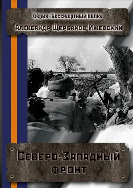 Александр Щербаков-Ижевский Северо-Западный фронт. Серия «Бессмертный полк» обложка книги