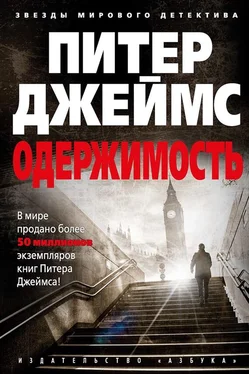 Питер Джеймс Одержимость обложка книги