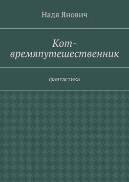 Надя Янович Кот-времяпутешественник. Фантастика обложка книги