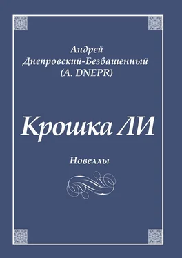 Андрей Днепровский-Безбашенный (A.DNEPR) Крошка ЛИ. Новеллы обложка книги