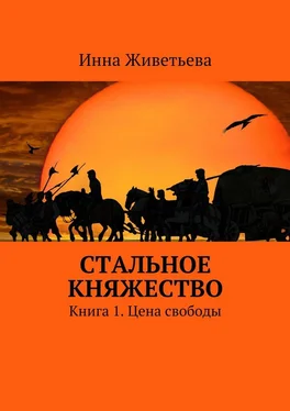 Инна Живетьева Стальное княжество. Книга 1. Цена свободы обложка книги