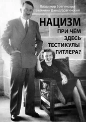 Валентин Давид Брагинский - Нацизм. При чём здесь тестикулы Гитлера?