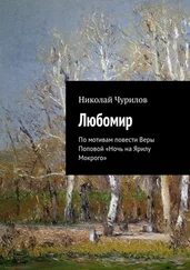 Николай Чурилов - Любомир. По мотивам повести Веры Поповой «Ночь на Ярилу Мокрого»