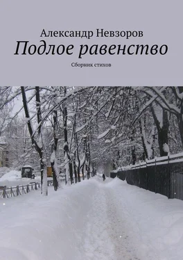 Александр Невзоров Подлое равенство. Сборник стихов обложка книги