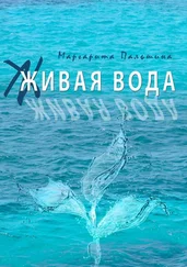 Маргарита Пальшина - Живая вода. Книга эссе