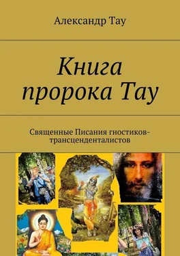 Александр Тау Книга пророка Тау. Священные Писания гностиков-трансценденталистов обложка книги