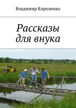 Владимир Короленко Рассказы для внука обложка книги