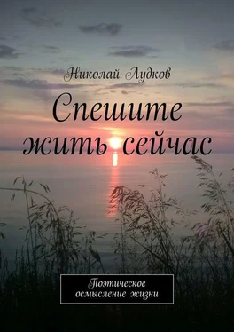 Николай Лудков Спешите жить сейчас. Поэтическое осмысление жизни обложка книги