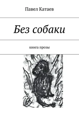 Павел Катаев Без собаки. Книга прозы обложка книги