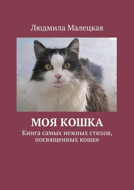 Людмила Малецкая Моя кошка. Книга самых нежных стихов, посвященных кошке обложка книги