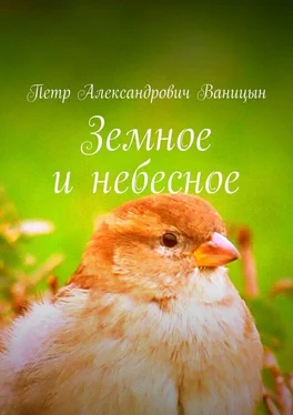 Петр Ваницын Земное и небесное обложка книги