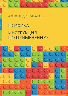 Александр Грибанов Психика. Инструкция по применению обложка книги