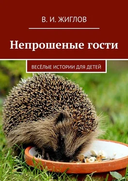 В. Жиглов Непрошеные гости. Весёлые истории для детей обложка книги