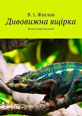 В. Жиглов Дивовижна ящірка. Веселі історії для дітей обложка книги