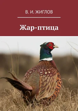 В. Жиглов Жар-птица обложка книги