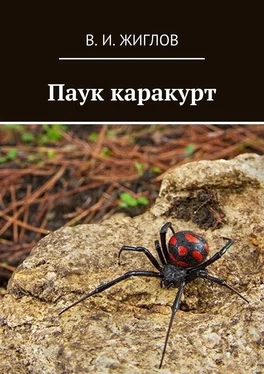 В. Жиглов Паук каракурт обложка книги