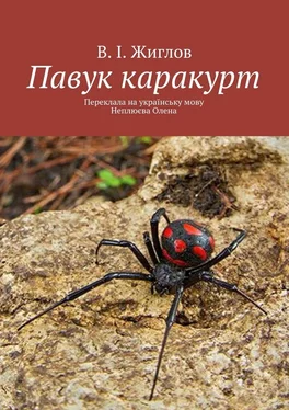 В. Жиглов Павук каракурт. Переклала на українську мову Неплюєва Олена обложка книги