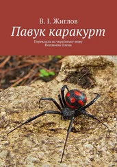 В. Жиглов - Павук каракурт. Переклала на українську мову Неплюєва Олена