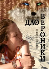 Дмитрий Калинин - Дао Вероники. Книга о необычайном