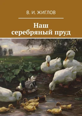 В. Жиглов Наш серебряный пруд обложка книги