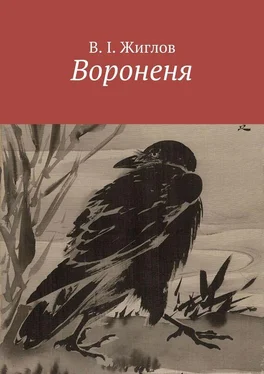 В. Жиглов Вороненя обложка книги