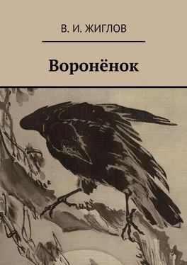 В. Жиглов Воронёнок обложка книги