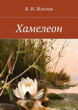 В. Жиглов Хамелеон. Рассказы для детей обложка книги