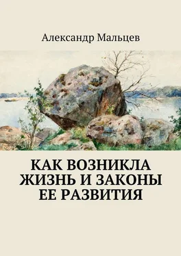 Александр Мальцев Как возникла жизнь и законы ее развития обложка книги