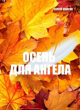 Сергей Шангин Осень для ангела. Городское фэнтези обложка книги