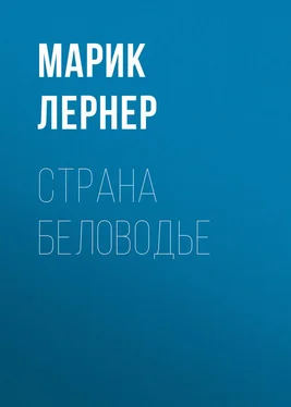 Марик Лернер Страна Беловодье обложка книги