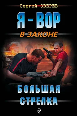 Сергей Зверев Большая стрелка обложка книги