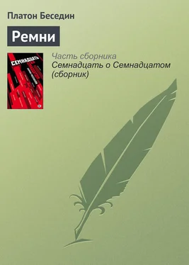 Платон Беседин Ремни обложка книги