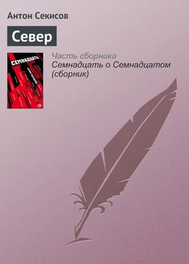 Антон Секисов Север обложка книги