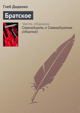 Глеб Диденко Братское обложка книги