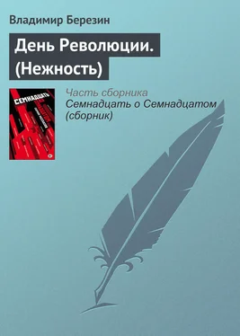 Владимир Березин День Революции. (Нежность) обложка книги