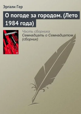 Эргали Гер О погоде за городом. (Лето 1984 года) обложка книги