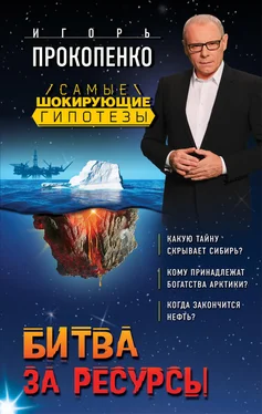 Игорь Прокопенко Битва за ресурсы обложка книги