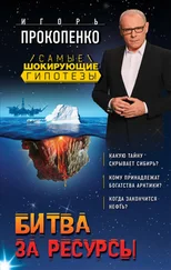 Игорь Прокопенко - Битва за ресурсы