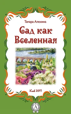 Тамара Алехина Сад как Вселенная обложка книги