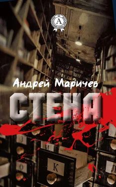 Андрей Маричев Стена обложка книги