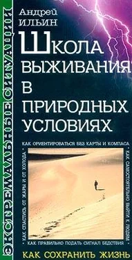 Андрей Ильин Школа выживания в природных условиях обложка книги