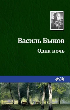 Василий Быков Одна ночь обложка книги