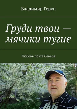 Владимир Герун Груди твои – мячики тугие. Любовь поэта Севера обложка книги